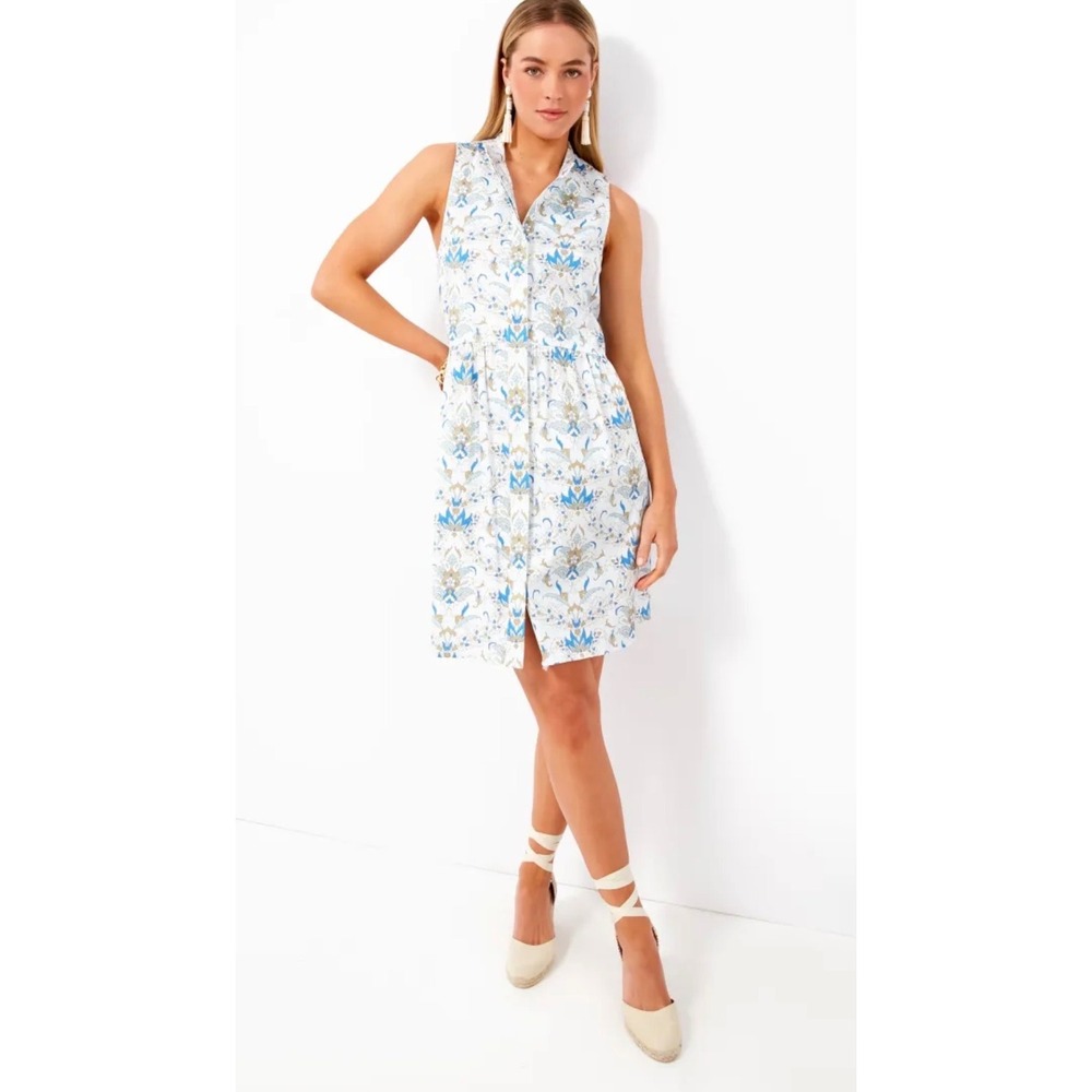 Tuckernuck Blue White Floral Shirt Dress Sleeveless Preppy Resort M